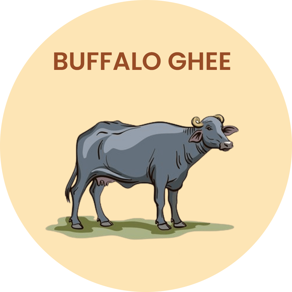 BUFFALO GHEE