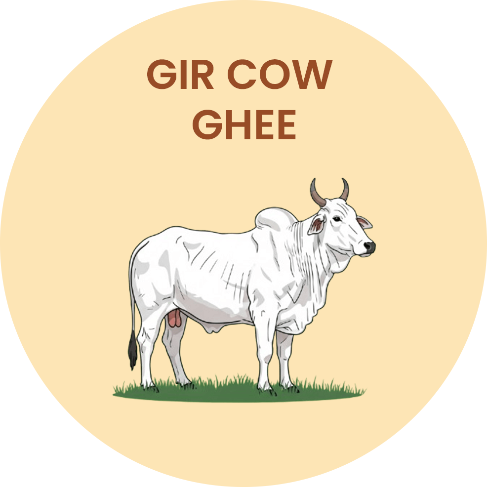GIR COW GHEE