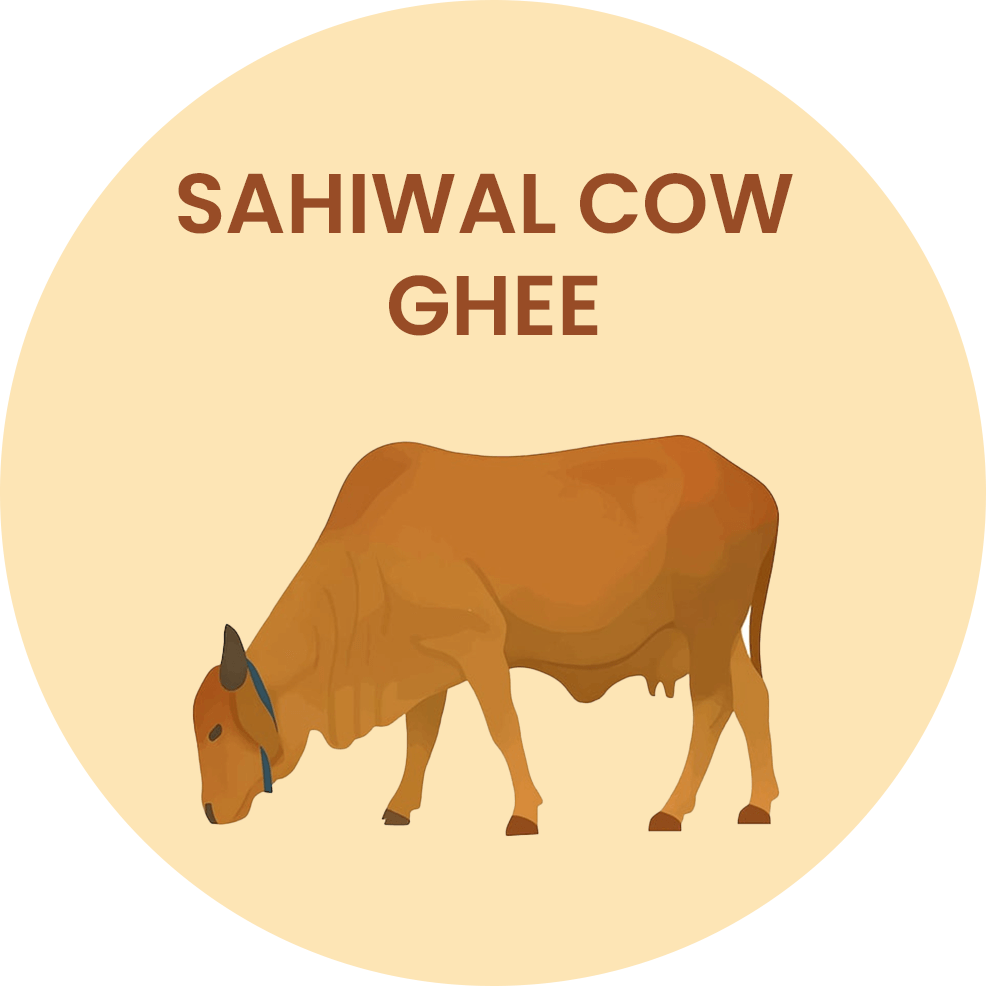 SAHIWAL GHEE